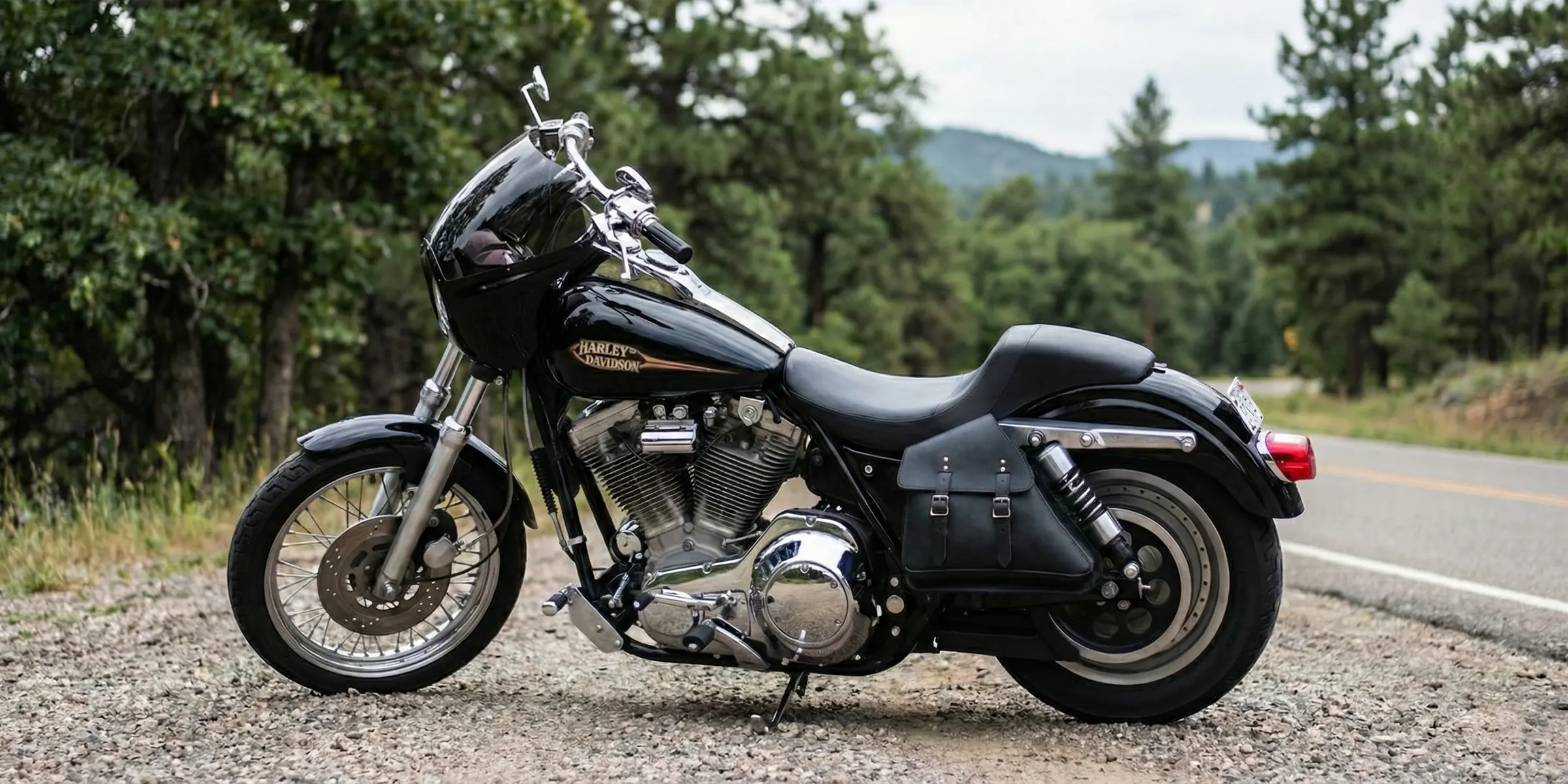 Discover our premium collection of H-D® FXR leather saddlebags, crafted for durability and style. Perfectly designed to fit all Harley-Davidson® FXR models, these saddlebags offer ample storage and easy installation.