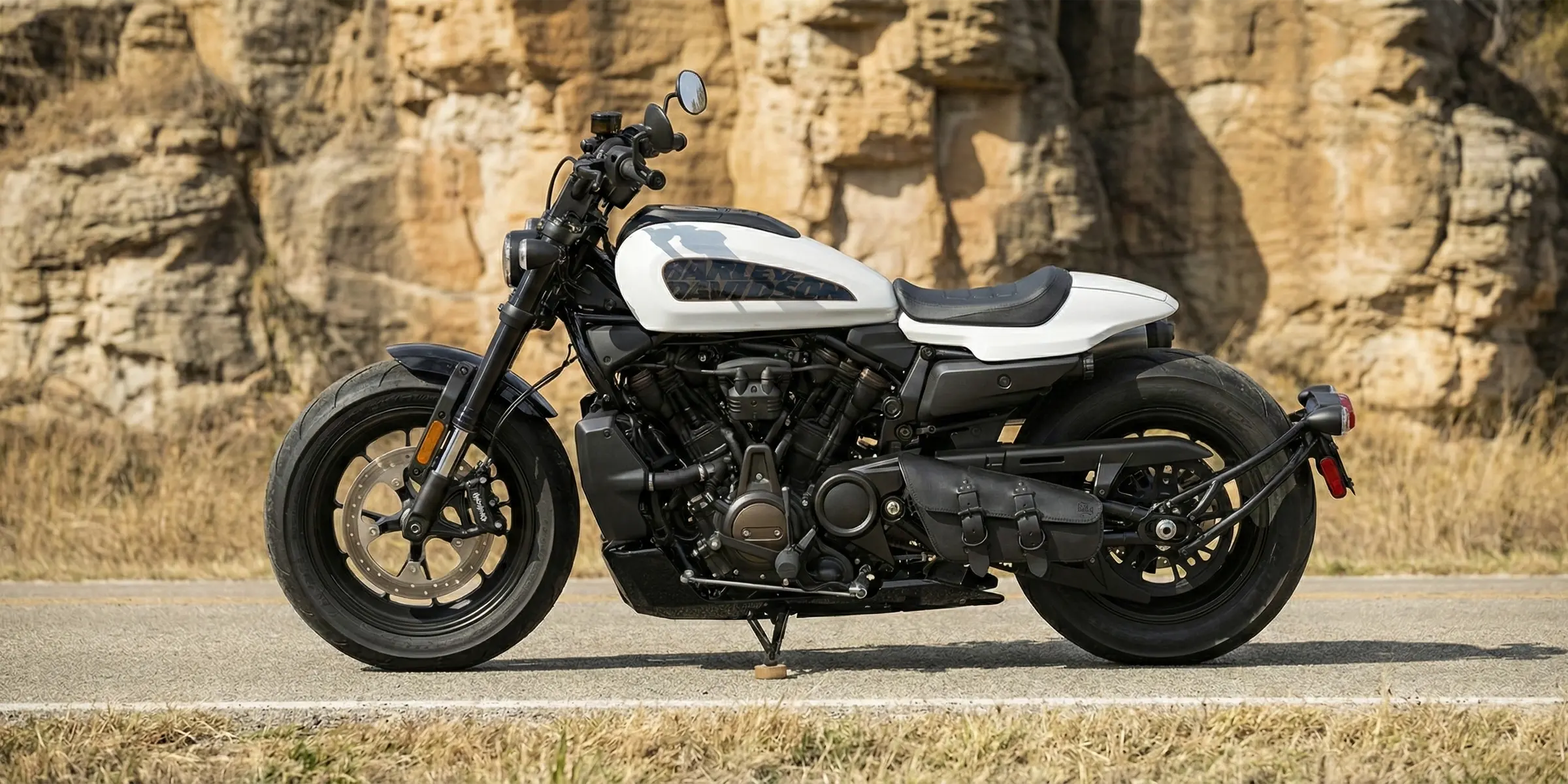 Harley Sportster parked at a scenic overview, showing off a new BAD&G saddlebag.